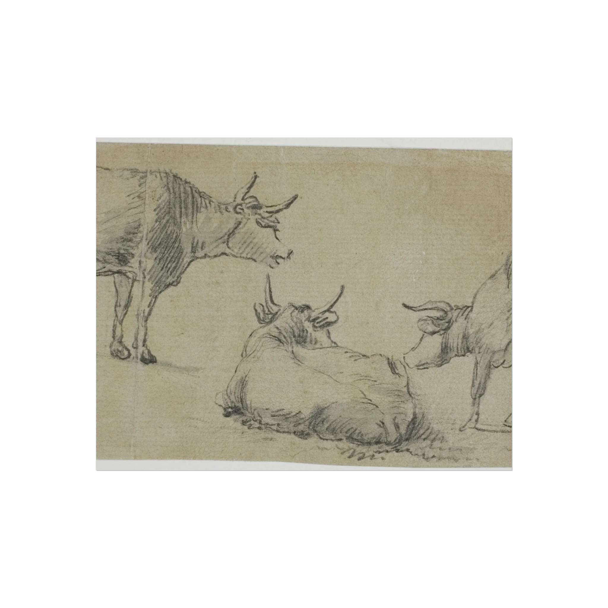 Aelbert Cuyp - Three Sketches of Cows | Fine Art Poster - Image 2