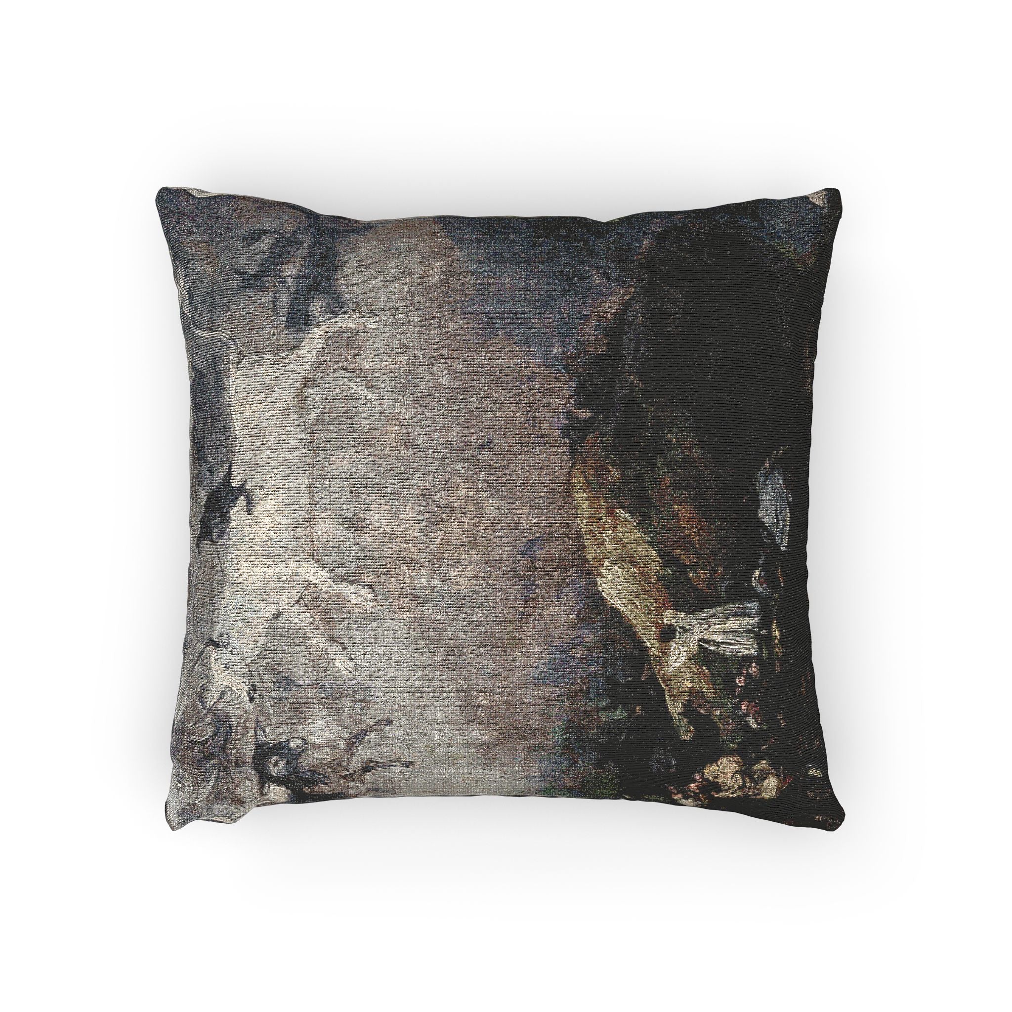 (Agen) Caprice - Francisco de Goya 1818-1819 - Musée des Beaux-Arts d'Agen | Woven Pillow - Image 2