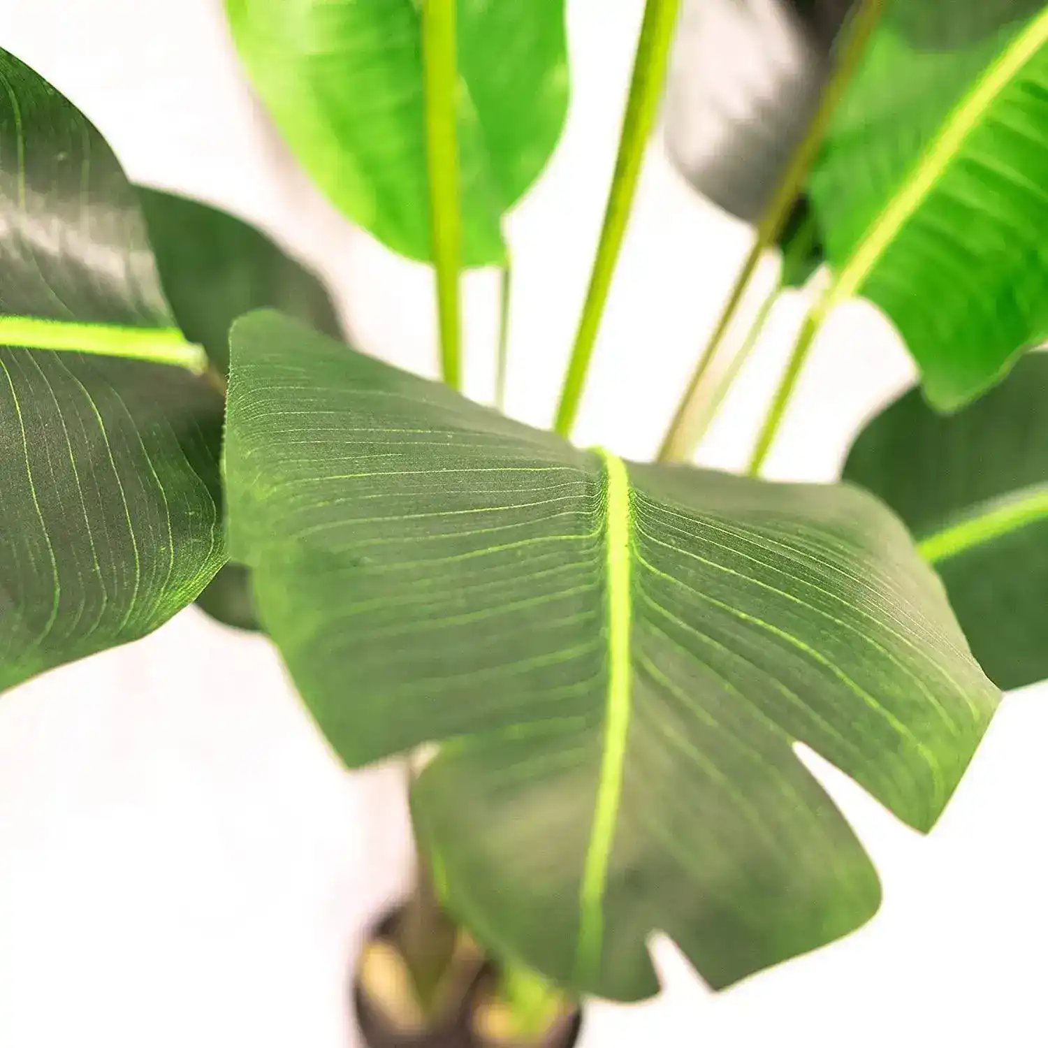 Artificial Banana Leaf Tree in Pot - 5 ft - Image 2