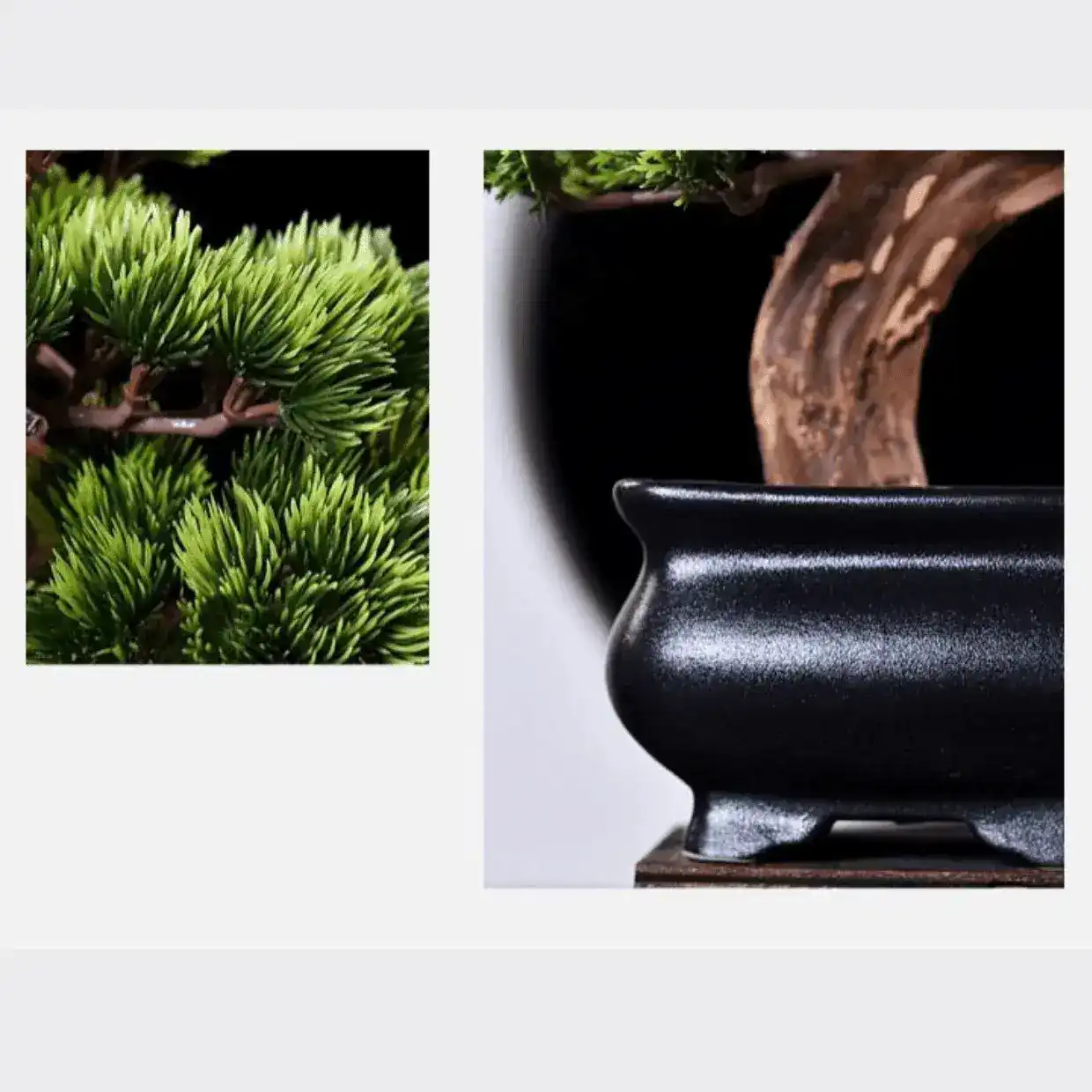 Artificial Bonsai arrangement with Real Tree Trunk in Black Pot - Image 4