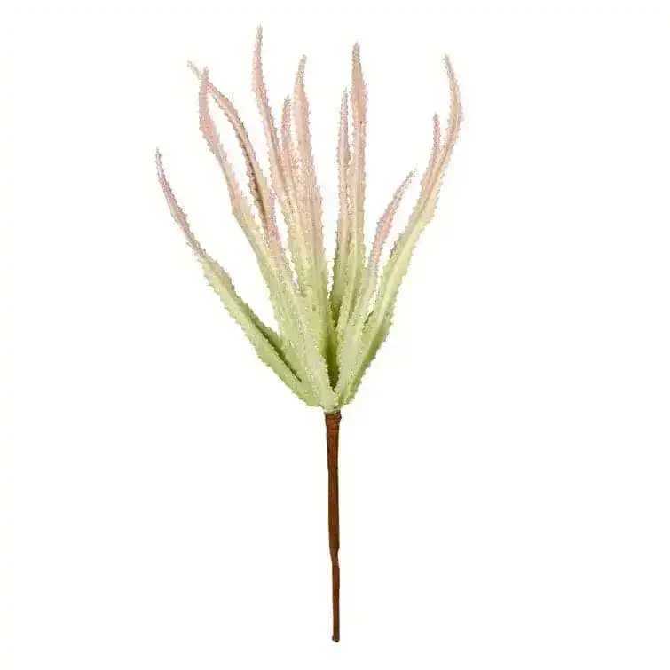 Artificial Haworthia Branch Set of 6 - Image 3