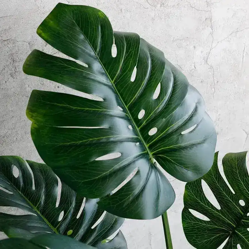 Artificial Monstera Deliciosa Tree 47" - Image 3