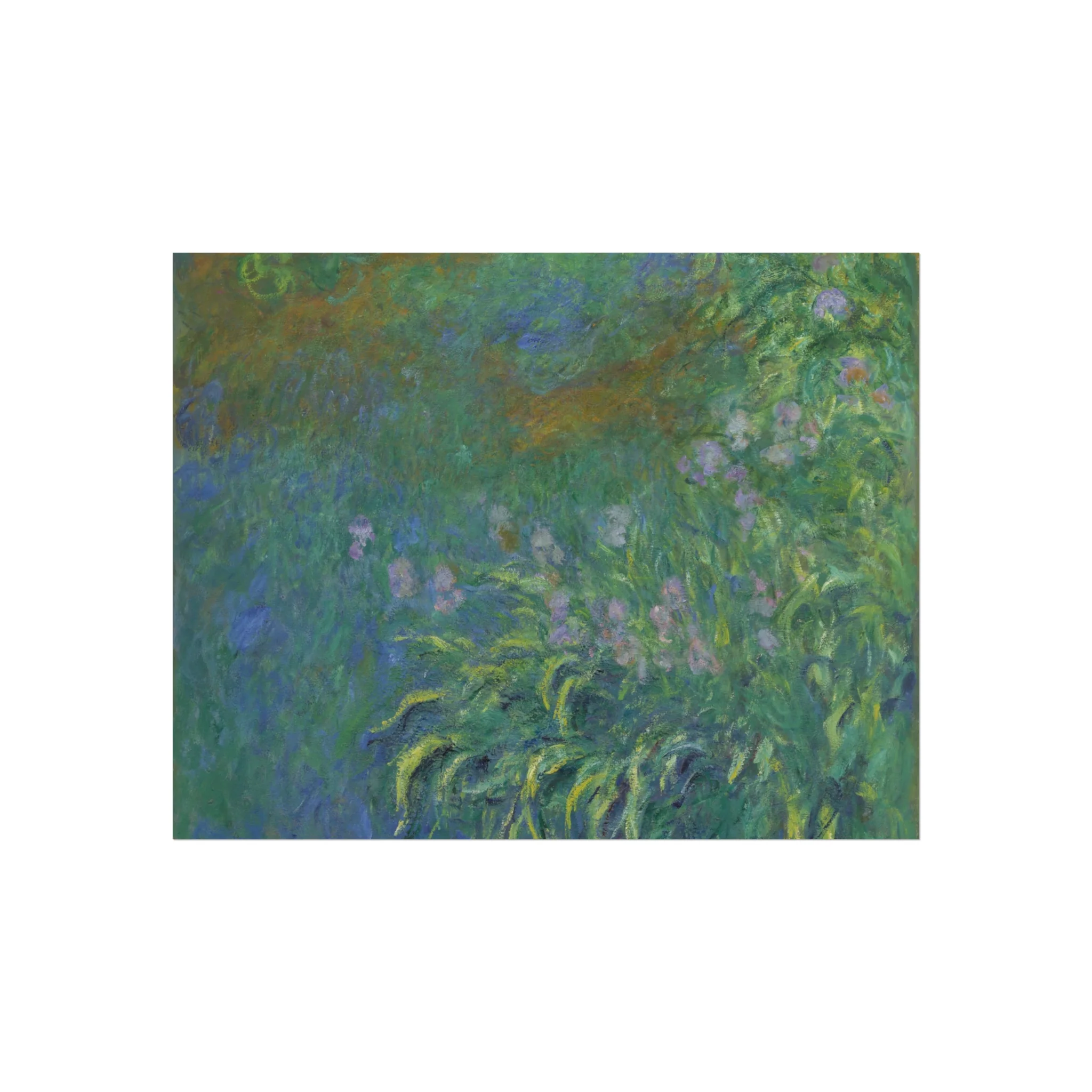 Claude Monet - Irises | Fine Art Poster