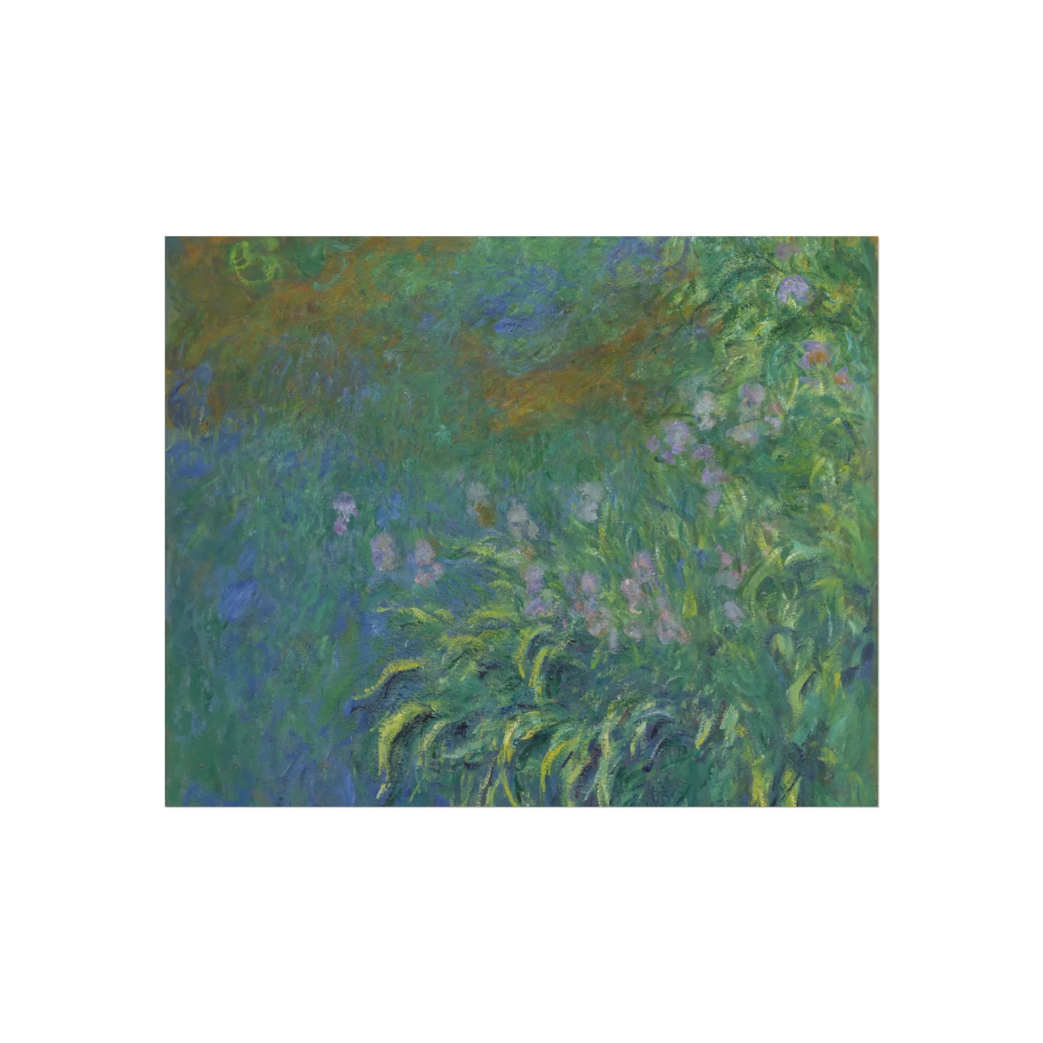 Claude Monet - Irises | Fine Art Poster - Image 2
