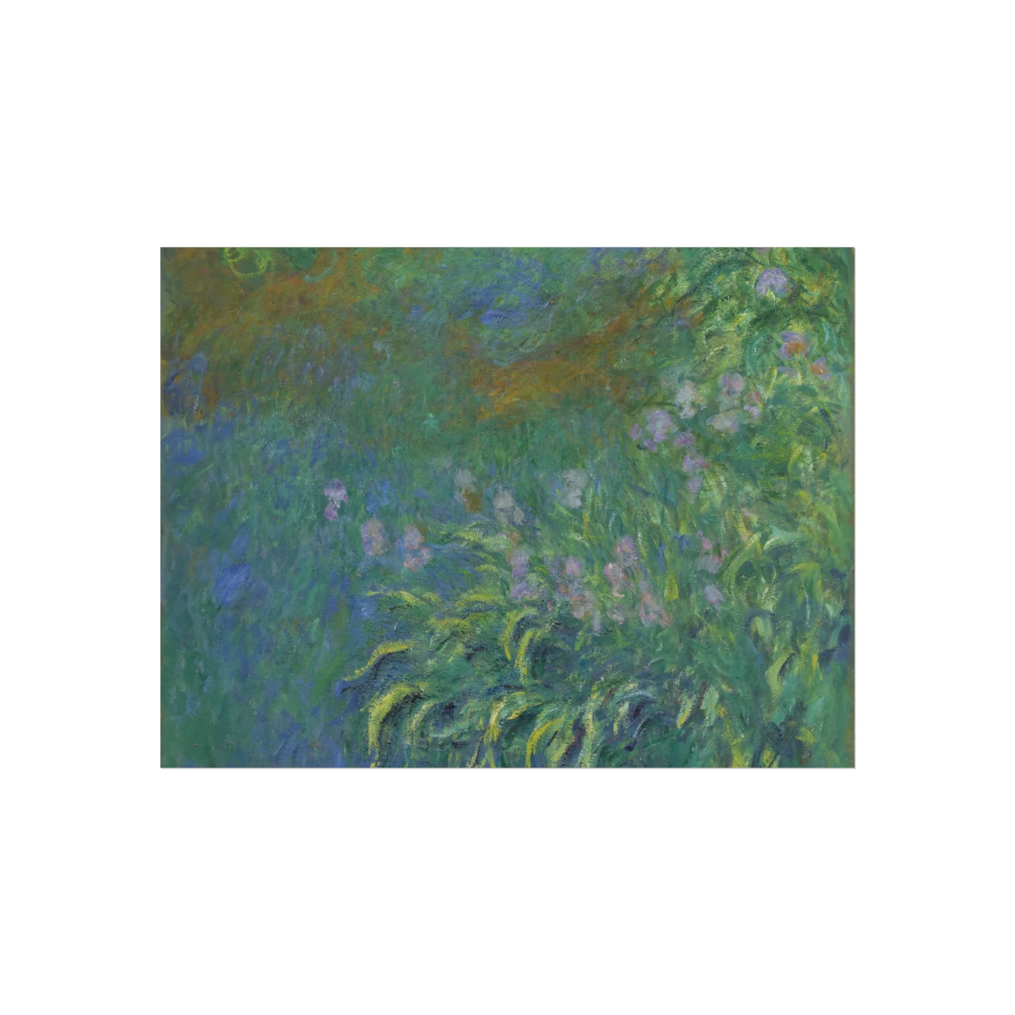 Claude Monet - Irises | Fine Art Poster - Image 3