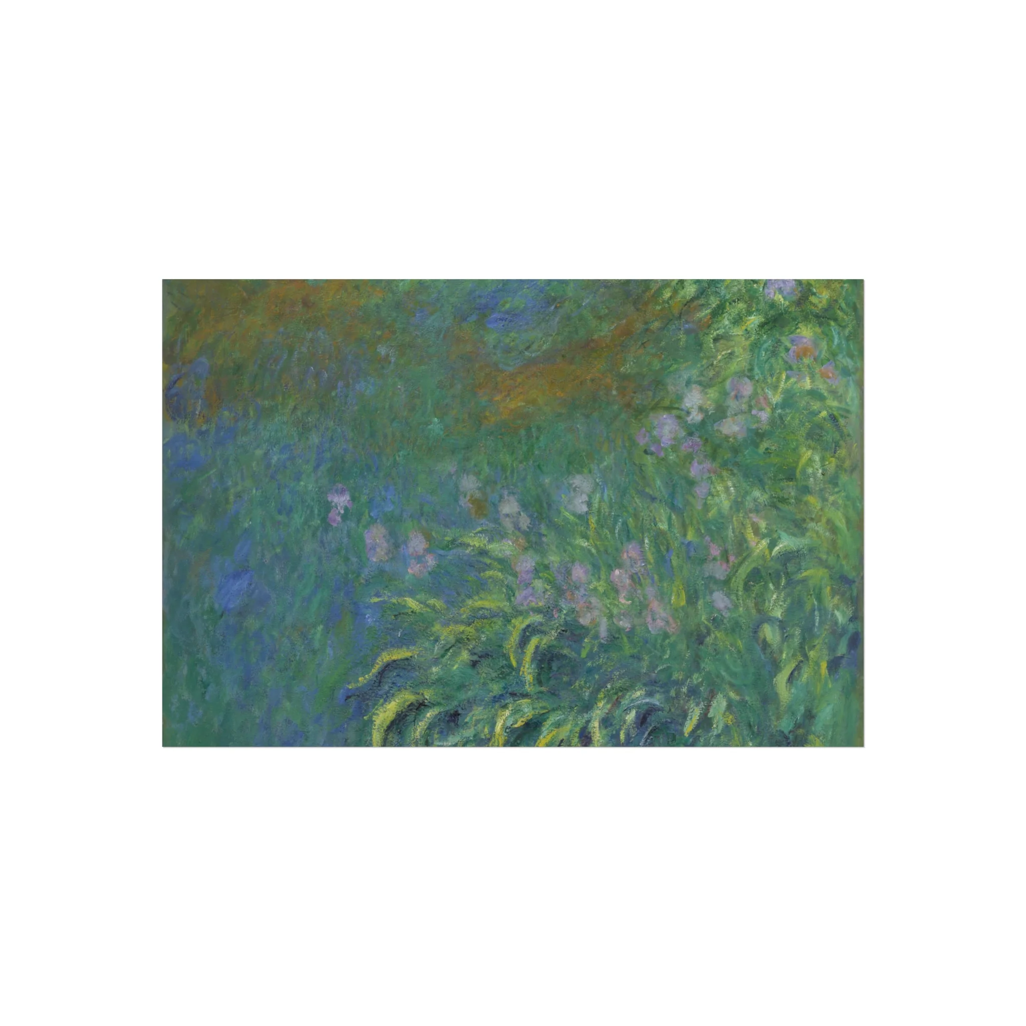 Claude Monet - Irises | Fine Art Poster - Image 4