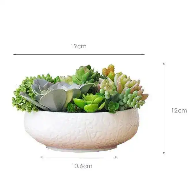 Dalat Artificial Succulents Arrangement in a White Bowl - Image 3