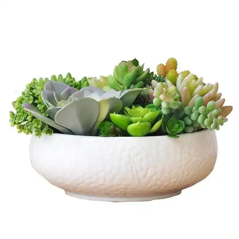 Dalat Artificial Succulents Arrangement in a White Bowl - Image 4