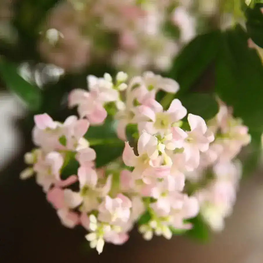 Delicate Silk Thyme Flower Branch - Image 5