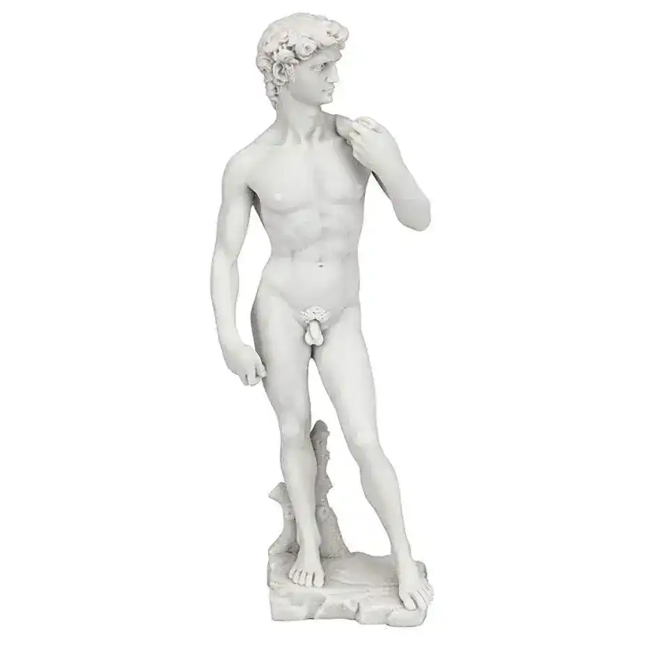 Design Toscano Michelangelo's David Statue - Image 3