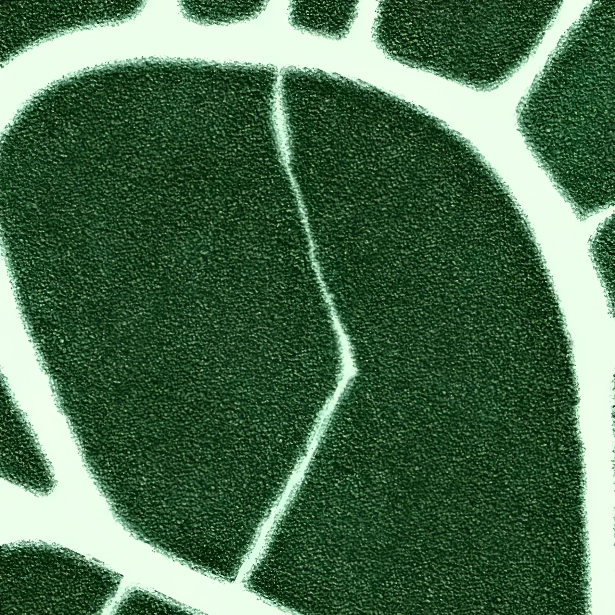 Elephant Ear Shaped Hand Tufted Wool Rug - Image 11