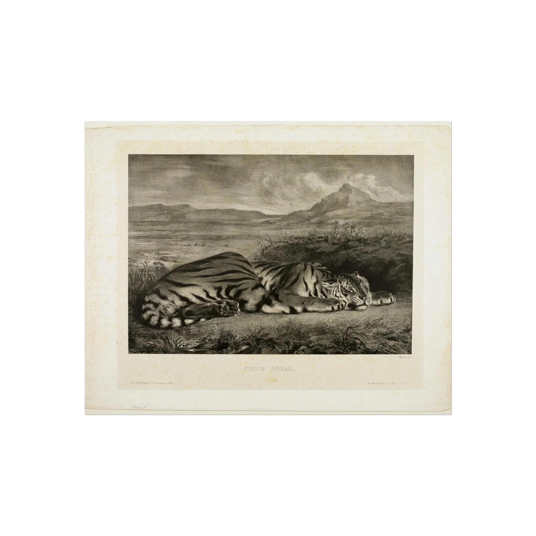 Eugène Delacroix - Bengal Tiger | Fine Art Poster - Image 2