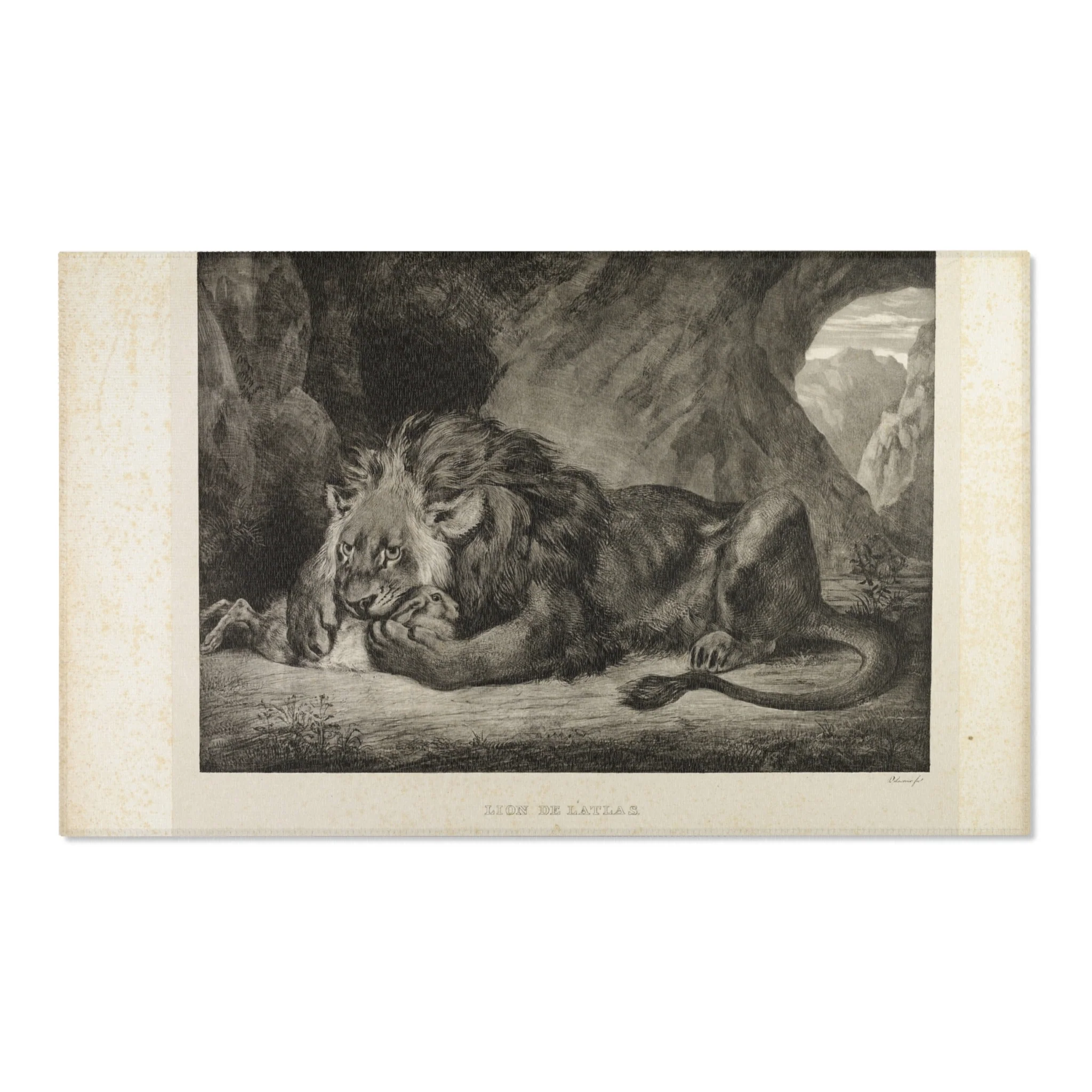 Eugène Delacroix - Lion of the Atlas Mountains | Area Rug - Image 5