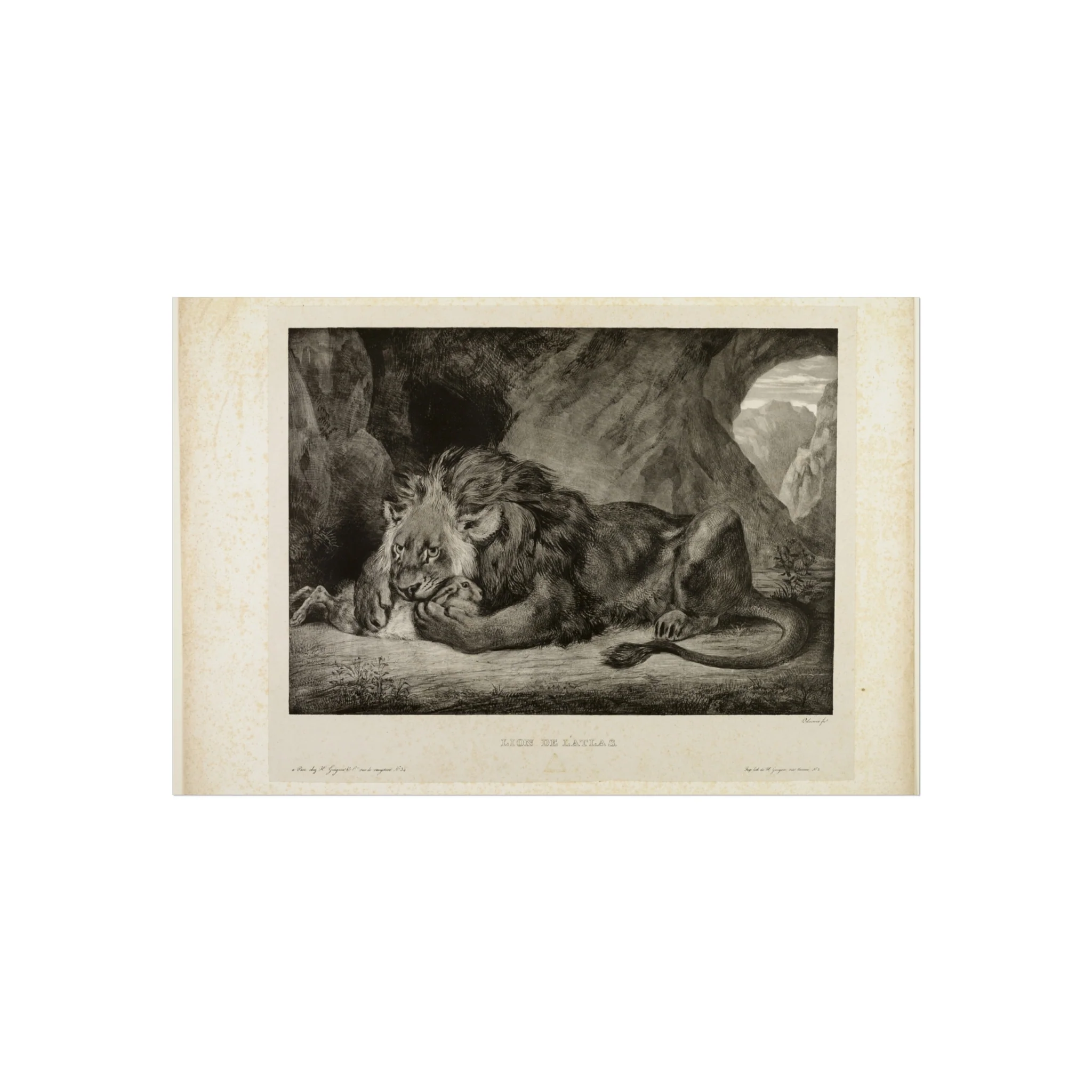 Eugène Delacroix - Lion of the Atlas Mountains | Fine Art Poster - Image 4