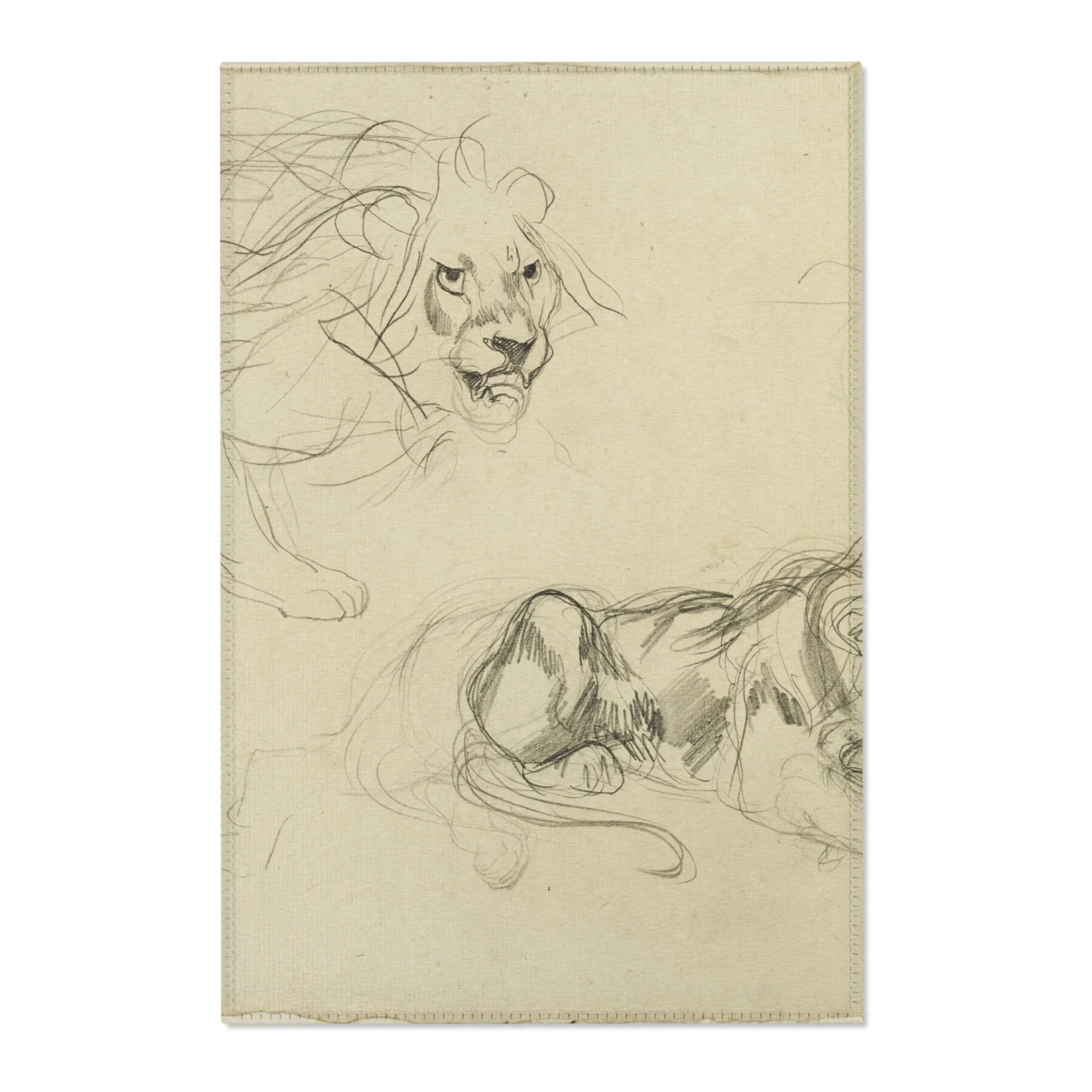 Eugène Delacroix - Studies of Lions | Area Rug