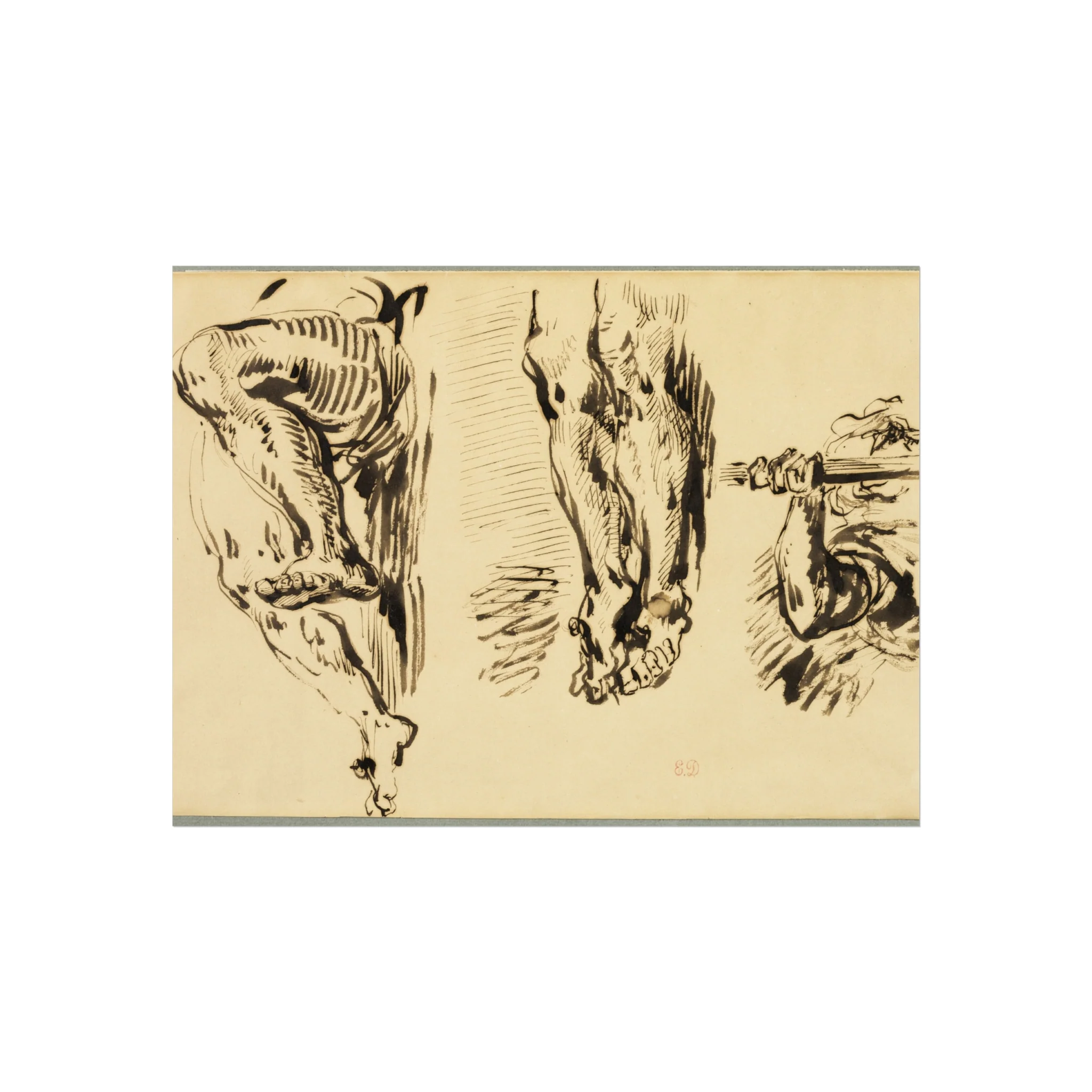 Eugène Delacroix - Study of Arms and Legs of Christ Crucified | Fine Art Poster - Image 3