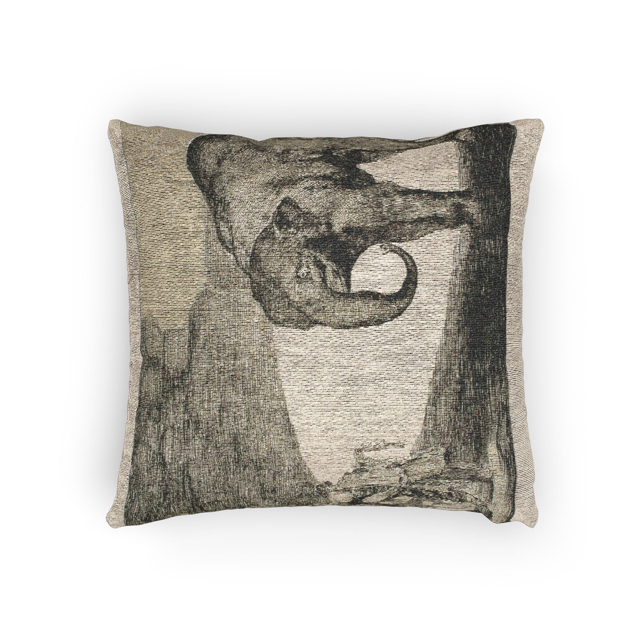 Francisco José de Goya y Lucientes - Animal Folly, from Disparates | Woven Pillow - Image 4