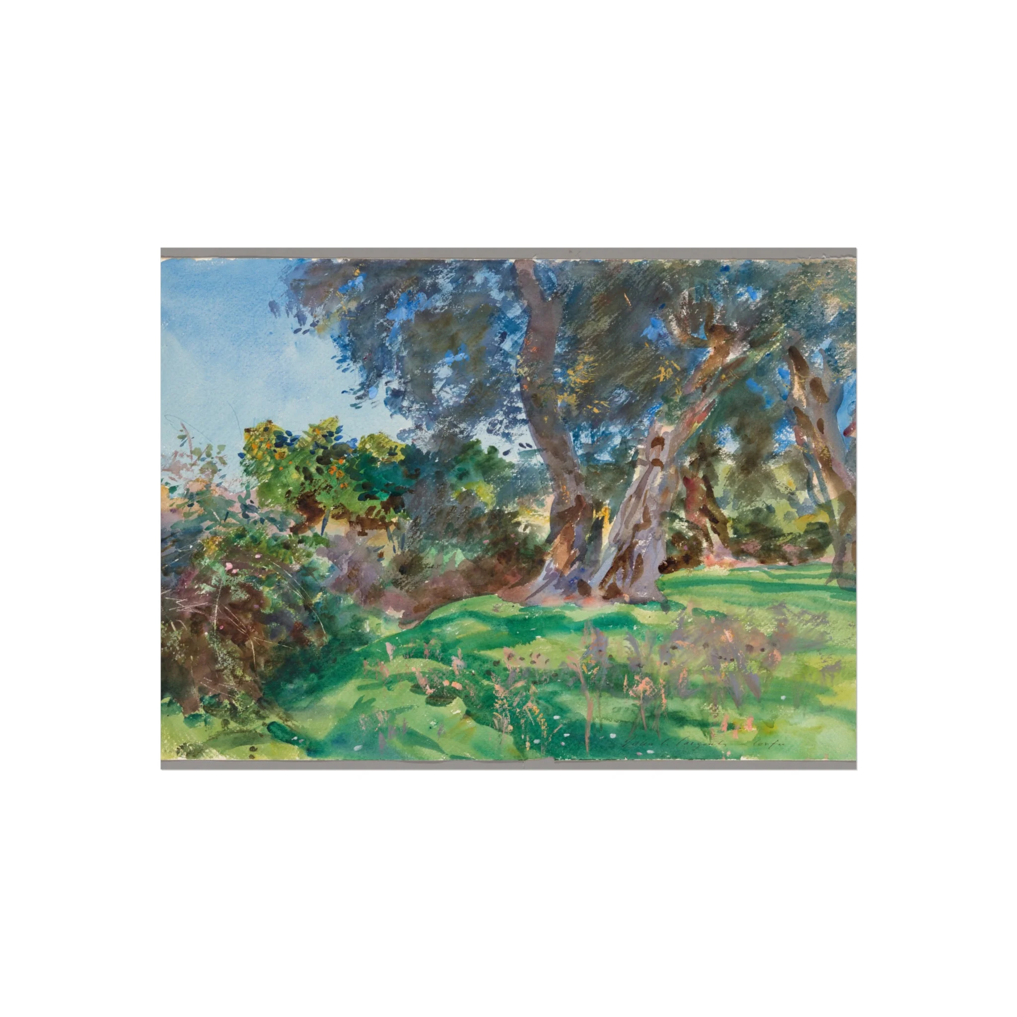 John Singer Sargent - Olive Trees, Corfu | Fine Art Poster - Image 3