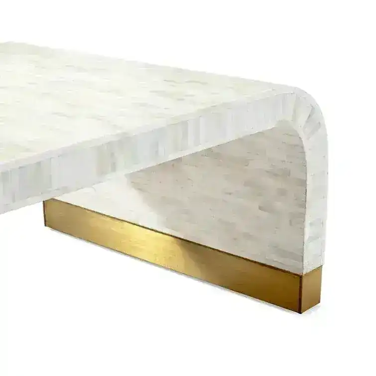 Natural Stripe Waterfall Bone Inlay Coffee Table with Brass Leg - Image 3