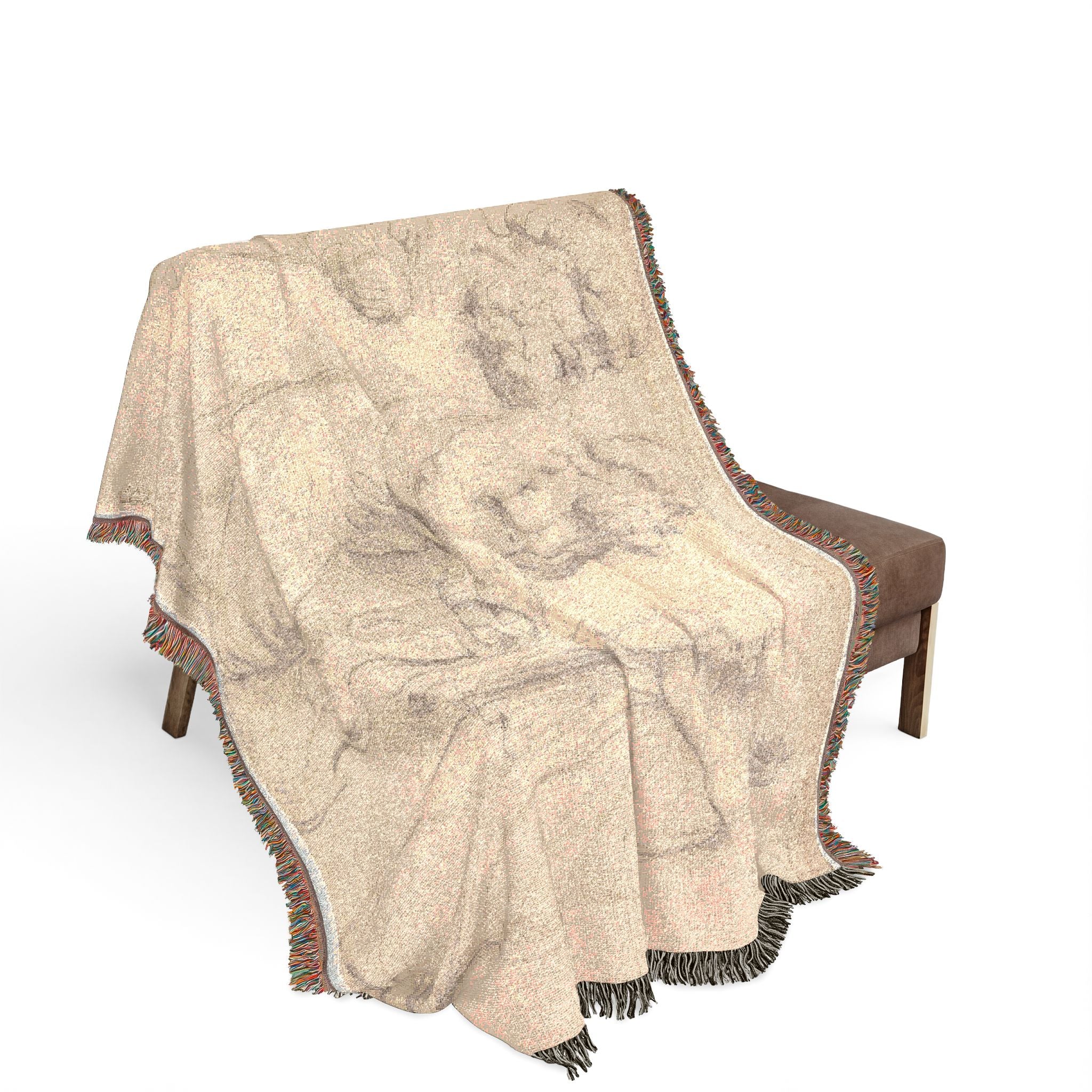 Peter Paul Rubens - Studies of a Roman Sarcophagus | Woven Tapestry Blanket - Image 3