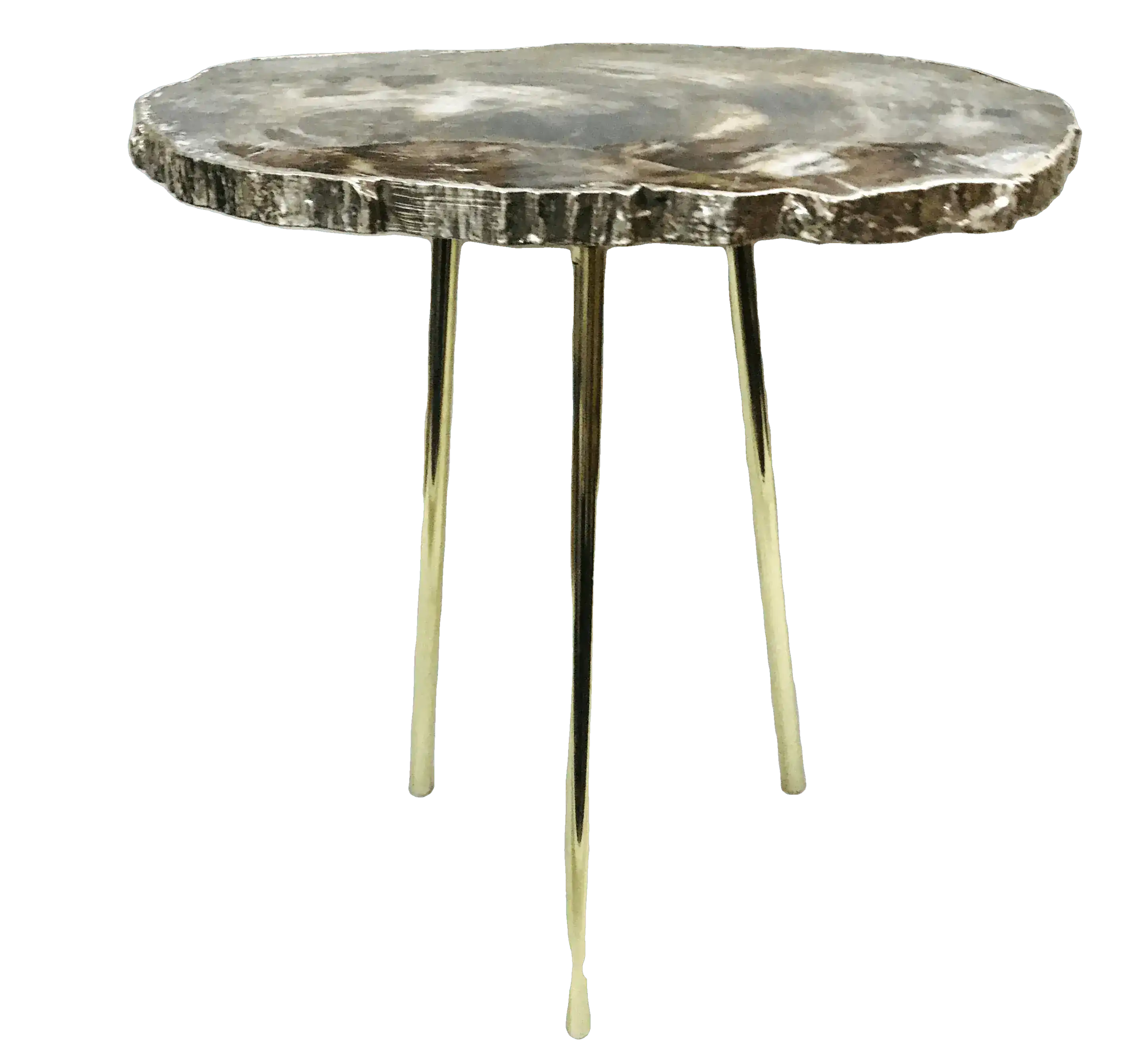 Petrified Wood Agate Quartz Organic Edge Accent Table