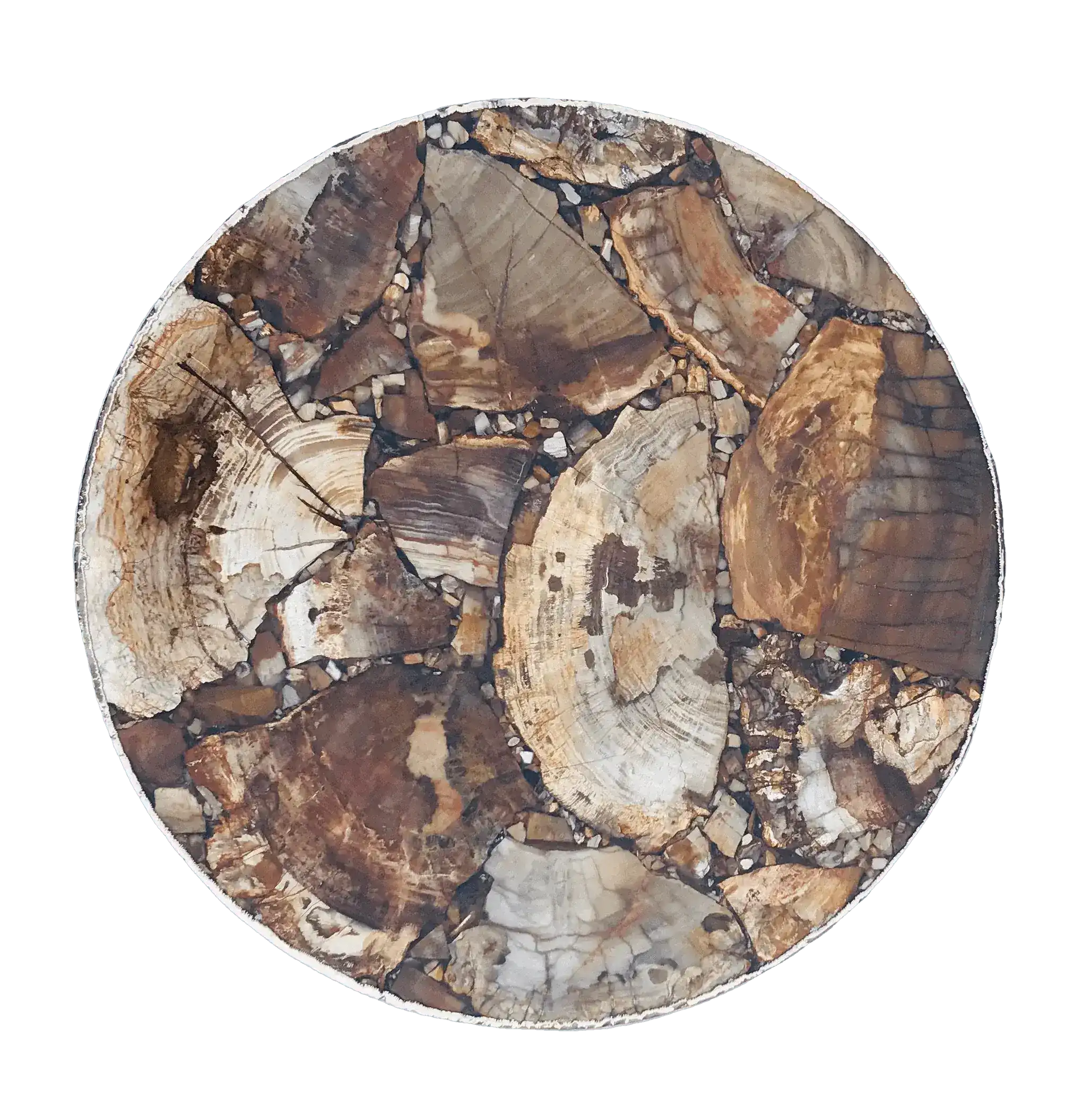 Petrified Wood Agate Round Edge Side Coffee Table - Image 2