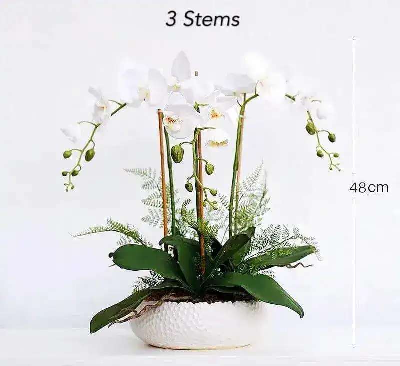 Real Touch 3 Stems White Phalaenopsis Arrangement in a White Ceramic Pot - Image 3