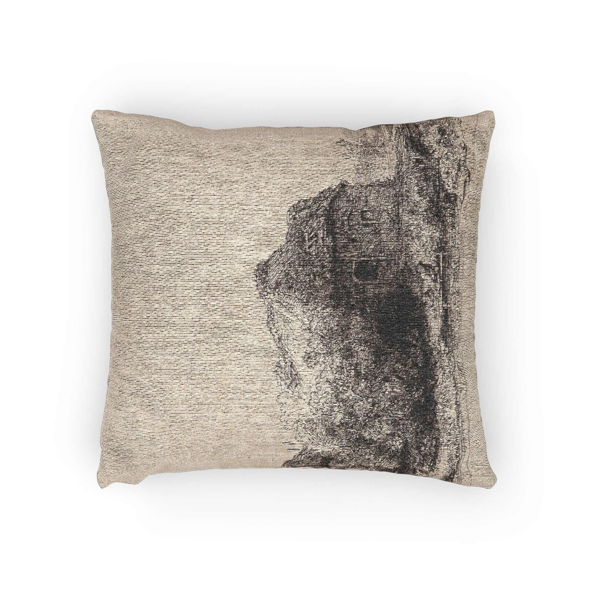 Rembrandt van Rijn - Landscape with Cottages and a Hay Barn Oblong | Woven Pillow - Image 2