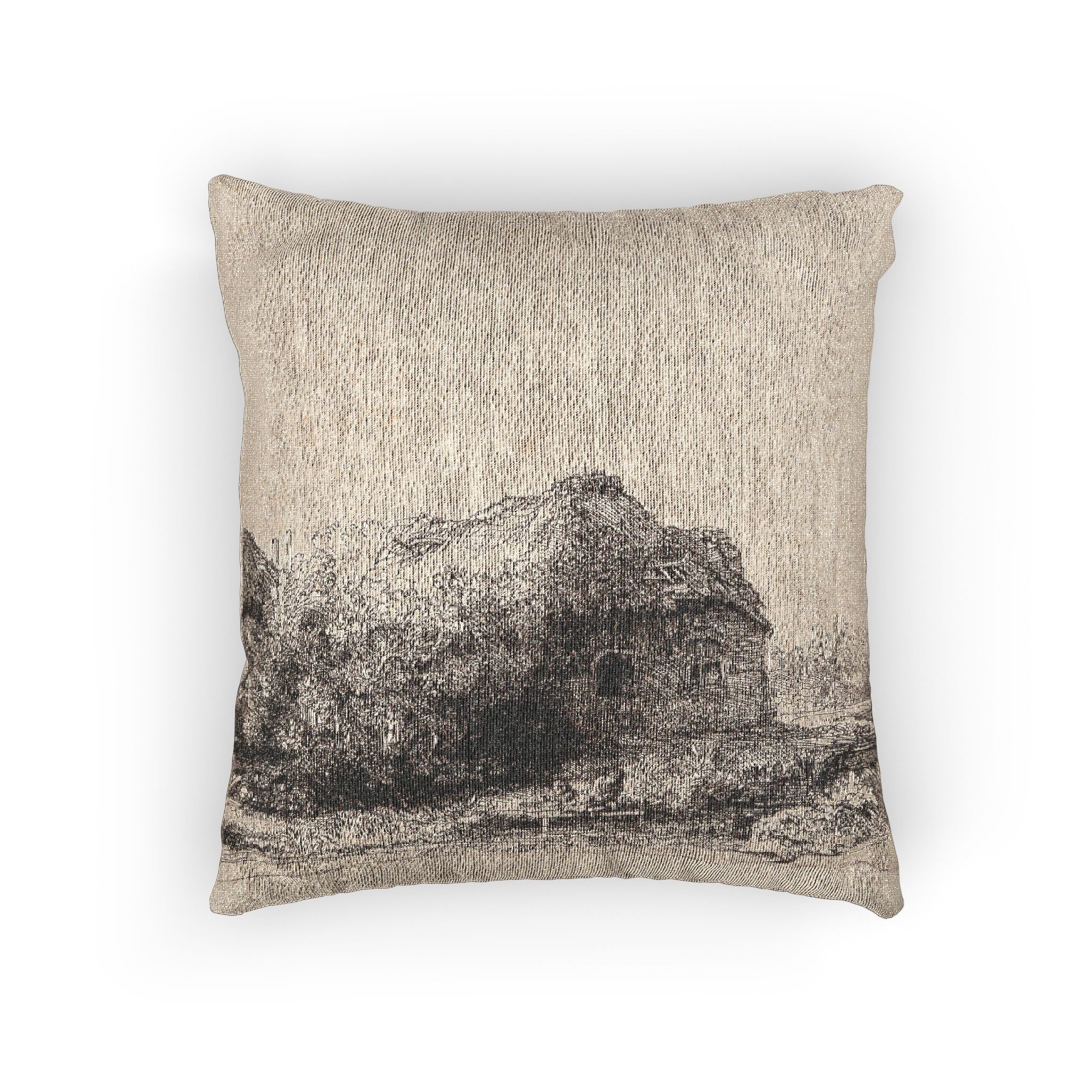 Rembrandt van Rijn - Landscape with Cottages and a Hay Barn Oblong | Woven Pillow - Image 3