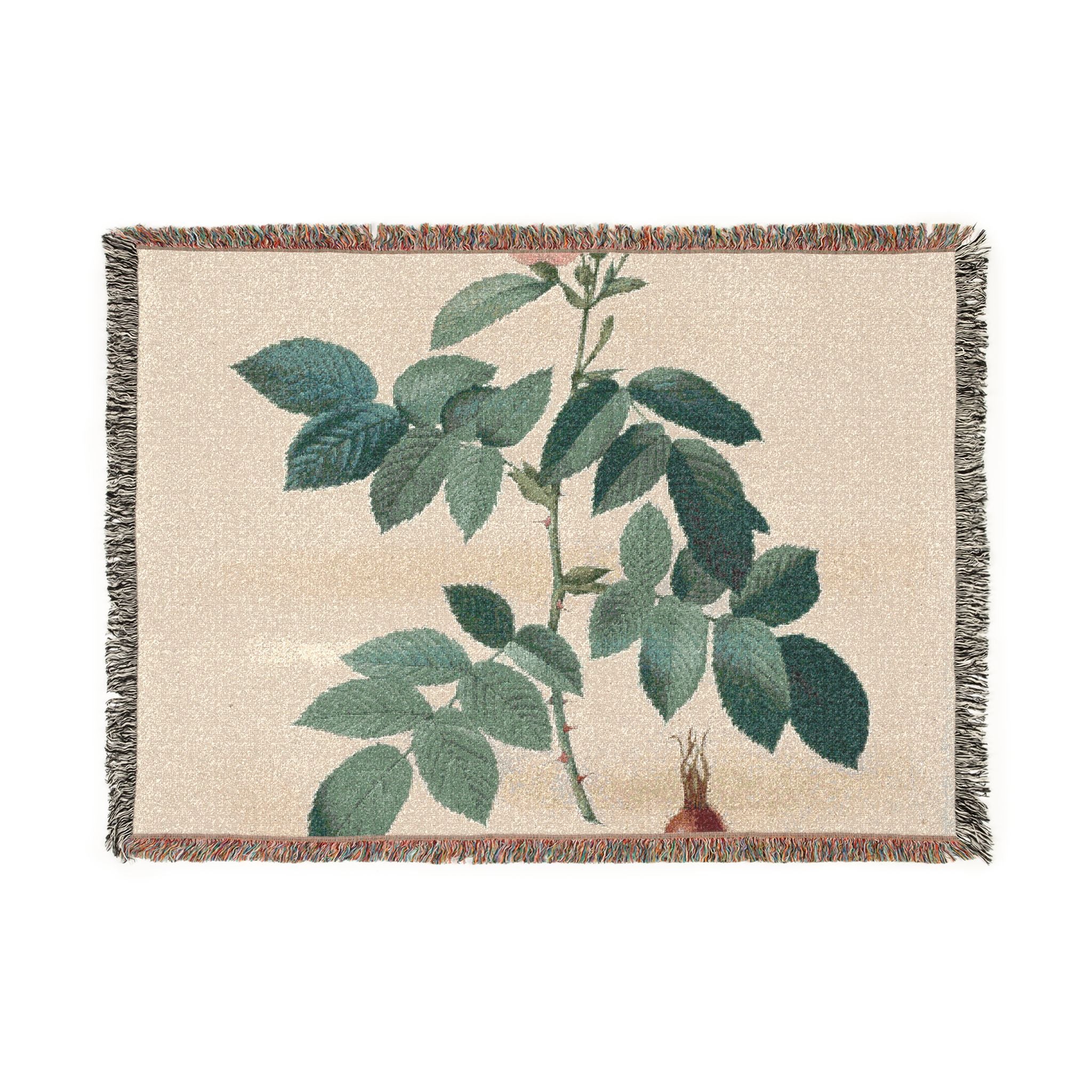 rosa-villosa-pomifera-les-roses-p-j-redoute | Woven Tapestry Blanket