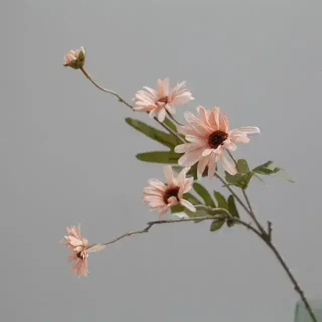 Silk Daisy Dandelion Ball Artificial Flowers - Image 8