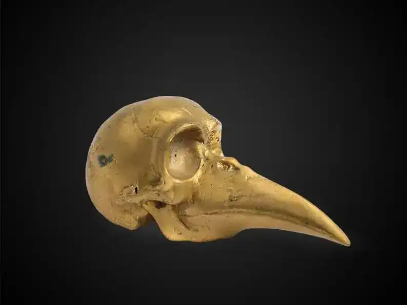 Solid Brass Bird Skull Figurine - Image 2