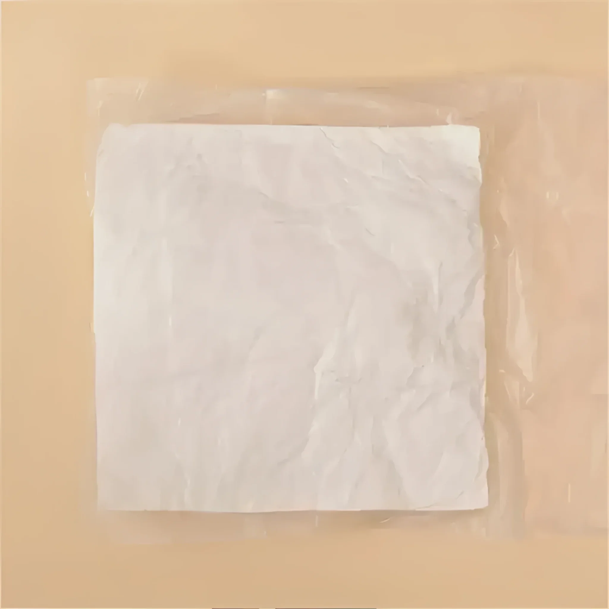 Throw Pillow Filling - Image 2