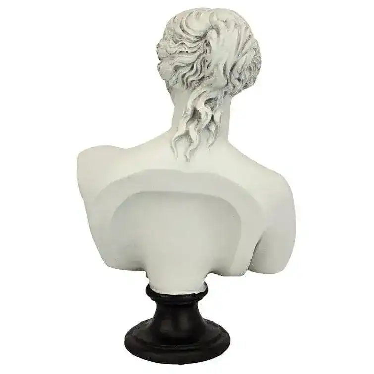 Venus de Milo Bust on Black Stand - Image 4