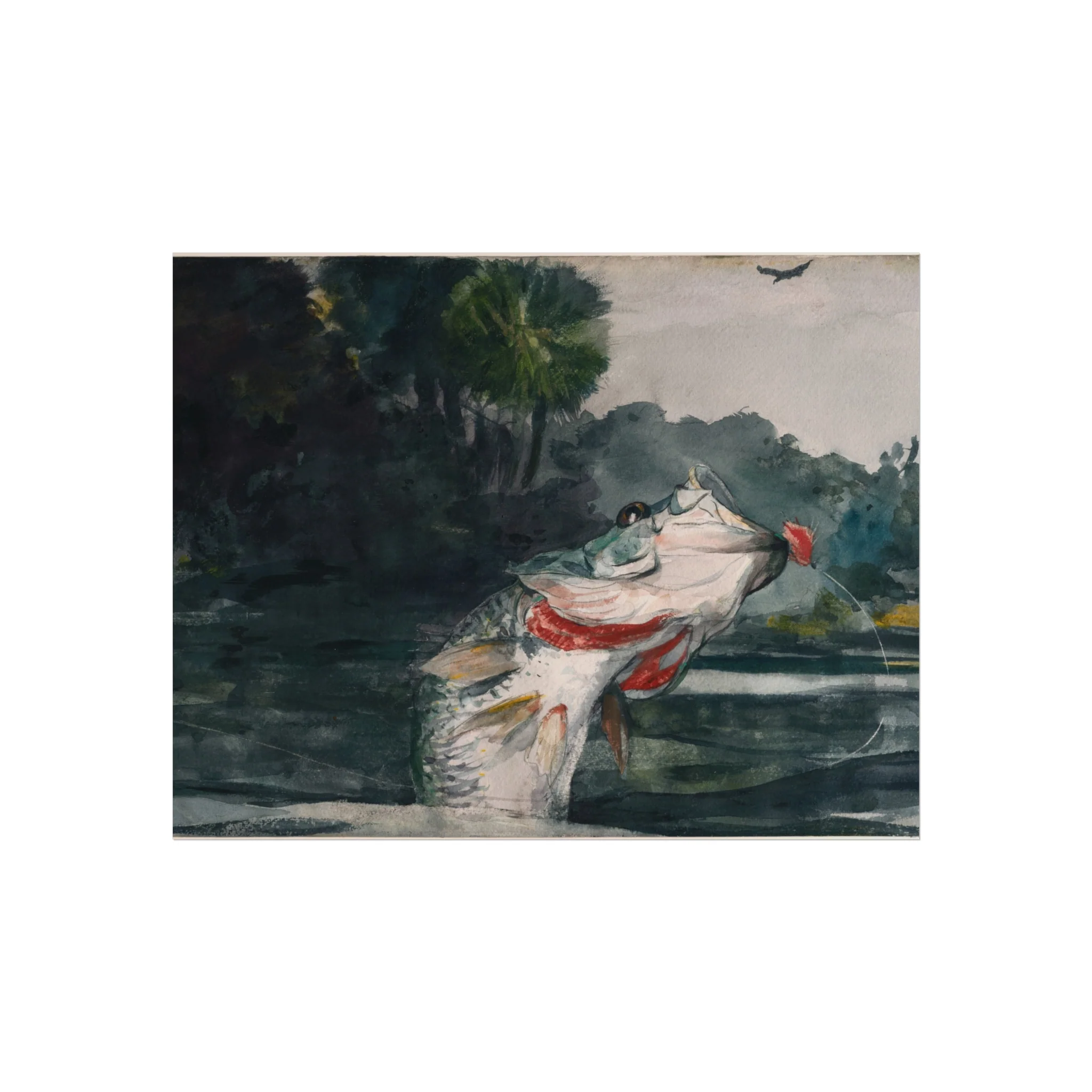 Winslow Homer - Life-Size Black Bass | Fine Art Poster